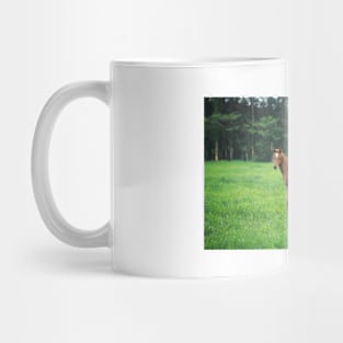 Horse Family Mug